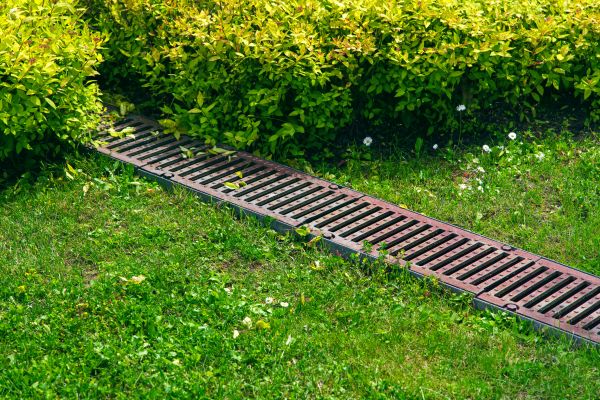 Cost of Lawn Drainage in Statesville