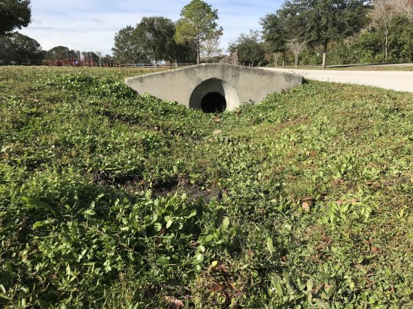 Cost of Swale Drainage Service in Statesville